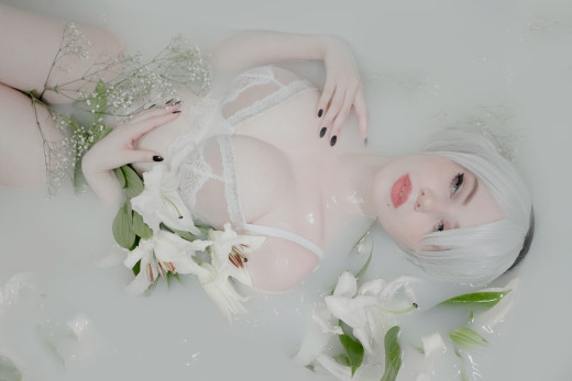1595105 (a): :3750x2500